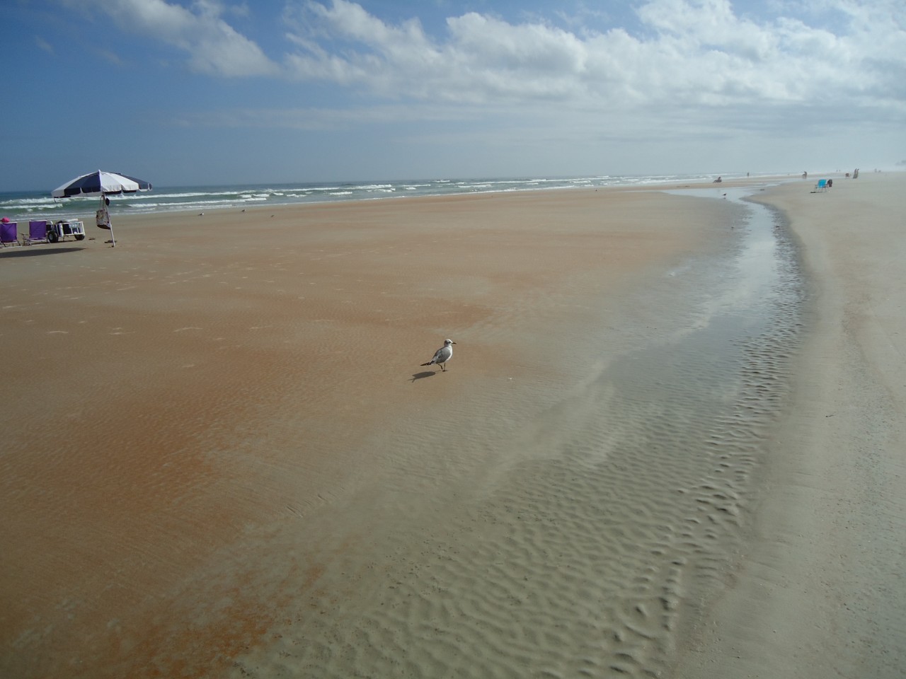 Daytona Beach is for the snow birds